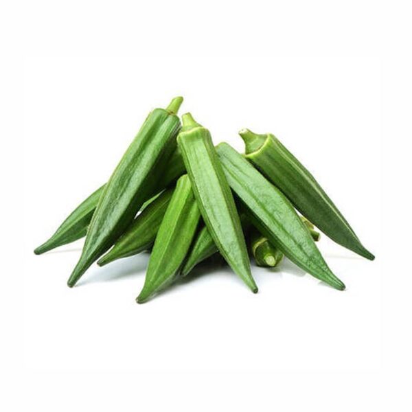 Green Bell Pepper - obrazek 3